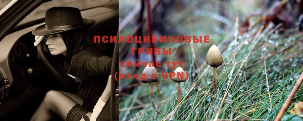 альфа пвп Протвино
