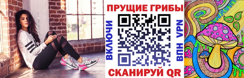 Галлюциногенные грибы мицелий  где найти   кракен рабочий сайт  Лабинск 