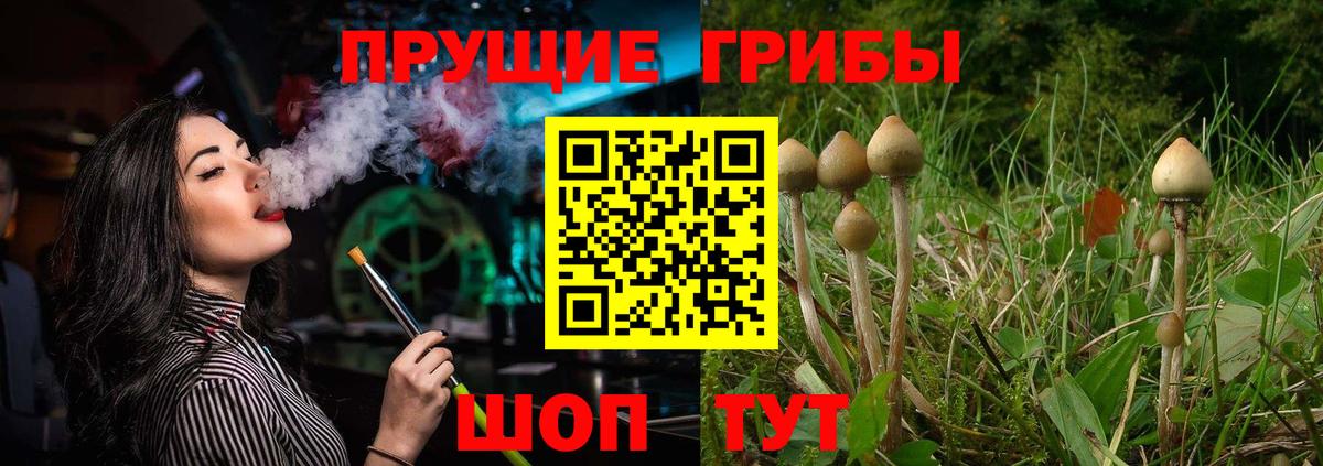 Псилоцибиновые грибы Psilocybine cubensis  Вход с VPN  Лабинск 